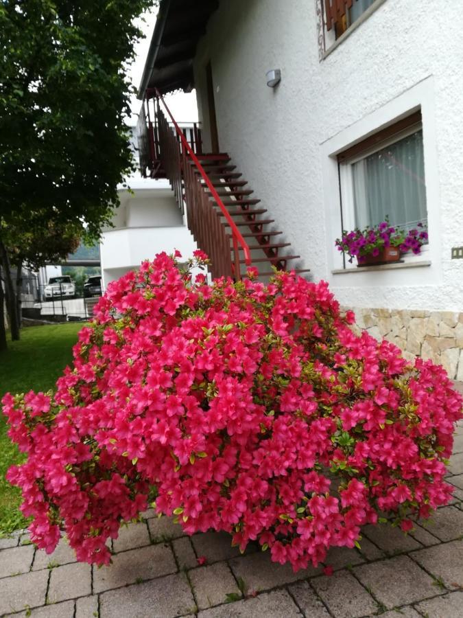 Casa Valcanover Apartment