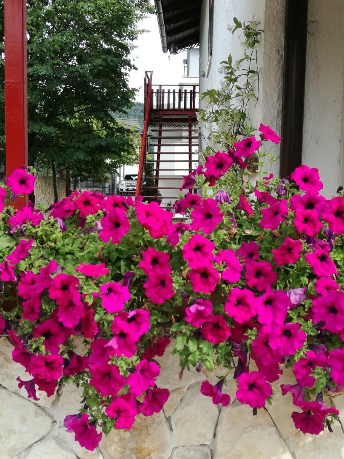 Apartment Casa Valcanover *